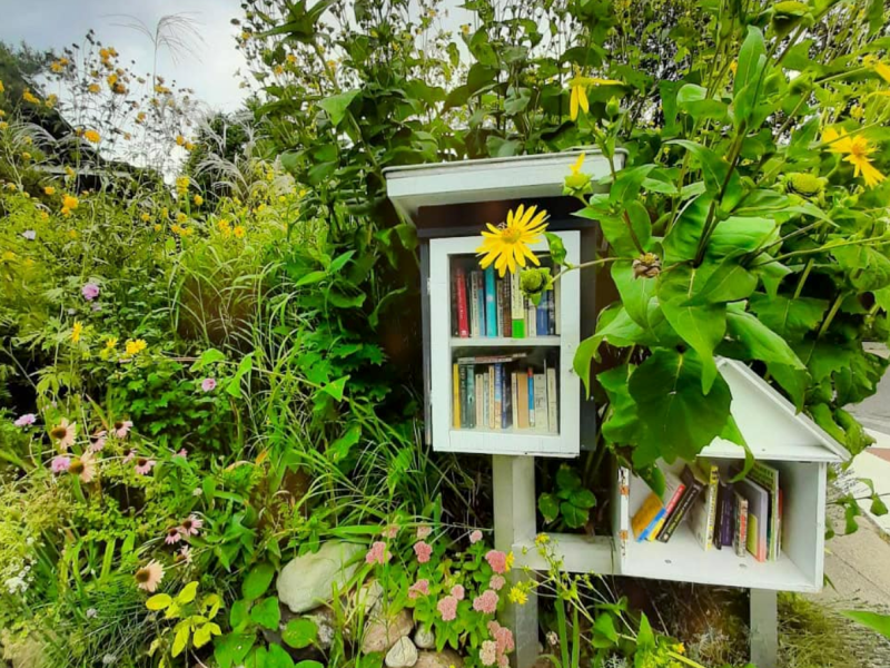 Little Free Libraries & Book Exchanges: The perfect book club for explorers and&nbsp;introverts